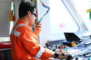 海事處技術服務中的信息技術咨詢服務