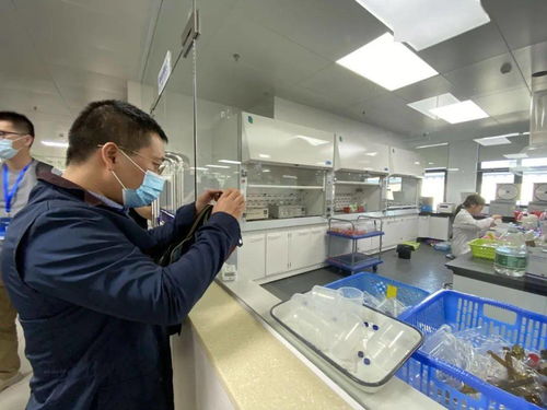 信息技術咨詢服務為‘六穩六?！峁娭?，中國—東盟檢驗檢測認證高技術服務集聚區賦能企業騰飛