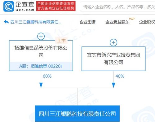 信息技術咨詢服務的重要性與發展趨勢